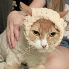 Ольга Парфенова, Москва