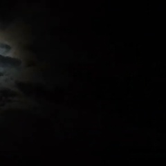 Евгения Акс, 20.08, Москва