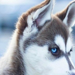 Рашид Зармаев, 27.09.1991