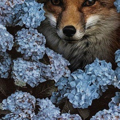 Eduard Shin, 25.02.1994, Атырау