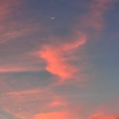 Аня Аня, Москва