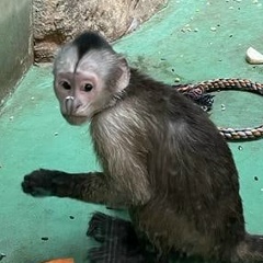 Гриша Еблодилов, 09.09.1998, Кубань