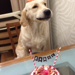 Аня Черных, 15.06.1987, Якутск