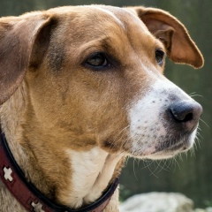 Александр Мишин, 24.01.1973, Сочи