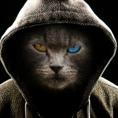 Станислав Мотовых, 04.11, Липецк