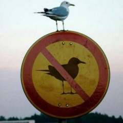 Павел Чупров, 13.04.1986