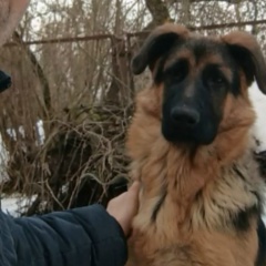 Артем Бойков, 16.03, Москва