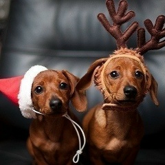 Ольга Башаркина, 09.08, Санкт-Петербург