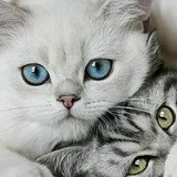 Зарина Бегешева, 13.01