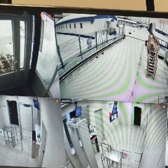 Олег Лобанов, Сургут