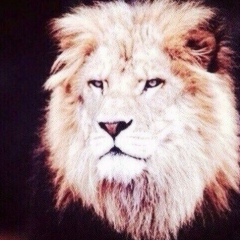 Арслан Даутаев, 11.08, Москва