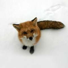 Марина Преловская, 27.04.1983, Санкт-Петербург