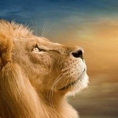 Нурмаганбет Кыдырбай, 05.09, Шымкент