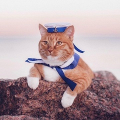 Андрей Дикун, Санкт-Петербург