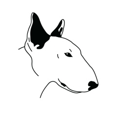 Artem Sergiev, 29.05.1999