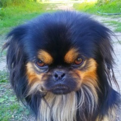 Артём Смольянинов, 10.04.1983, Москва