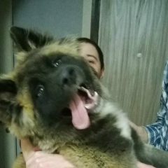 Генрихъ Гольц, 11.01.1989, Москва