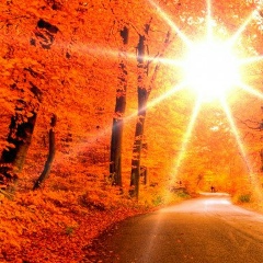 Наталья Любимова