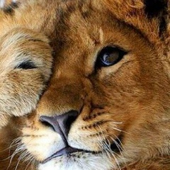 Елена Зориктуева, 14.08