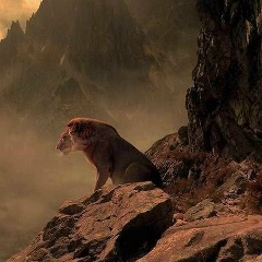 Just Karas, 07.08, Владикавказ