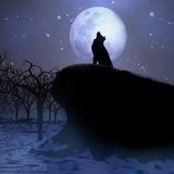 Никита ******, 27.12, Москва