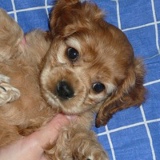 Маргарита Останина, Санкт-Петербург