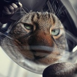 Антон Волох, 17.09.1987, Кременчуг