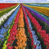 Kirill Ru, 20.01, Санкт-Петербург