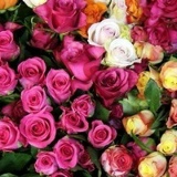 Лаура Бауыржанова, 11.05, Актау