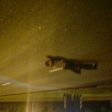 Александр Горб, 09.03, Донецк