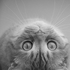 Елена Казанцева, 17.08, Санкт-Петербург