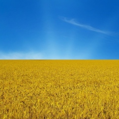 Владимир Прокопенко, 02.04.1985, Днепр (Днепропетровск)