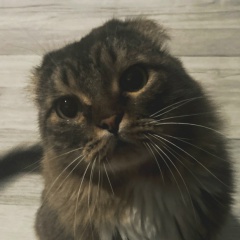 Сергей Ефимов, 23.03, Курган