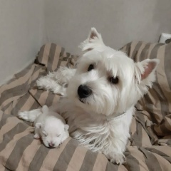 Кристина Жданова, Москва