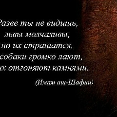 А..... М...., 08.04.1992, Нальчик