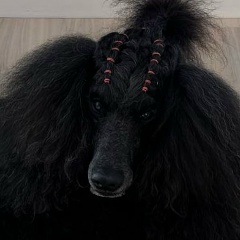 Азгор Дримур