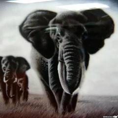 Тагир Юняев, 13.03.1983, Санкт-Петербург