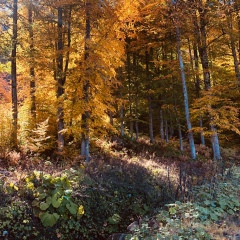 Алексей Бубнов, 01.01, Москва