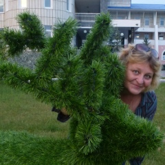 Лариса Панишева, 28.12, Курган