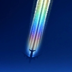 Дмитрий Бучнев