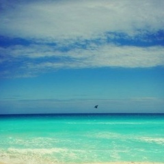 Сергей Масленко, 21.05