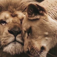 Хан Ханов, 01.03