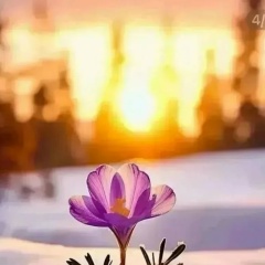 Олеся Валентиновна, Новокузнецк