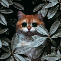 Екатерина Букшина, 11.01, Санкт-Петербург