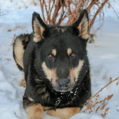 Эля Ли, 25.10, Ellerau