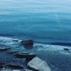 Митя Мельнич, 11.04