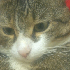 Горохова Дарья, 16.09