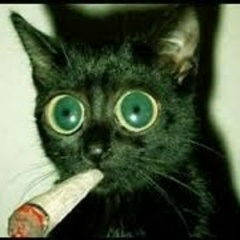 Карина Опиум, 27.01.2004, Москва