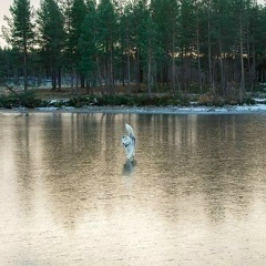 Эржена Цыбжитова, 21.05.1985, Москва