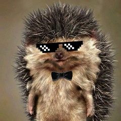 Юрий Сапронов, 05.02, Москва